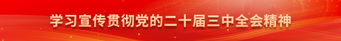 學習宣傳貫徹黨的二十屆三中全會精神